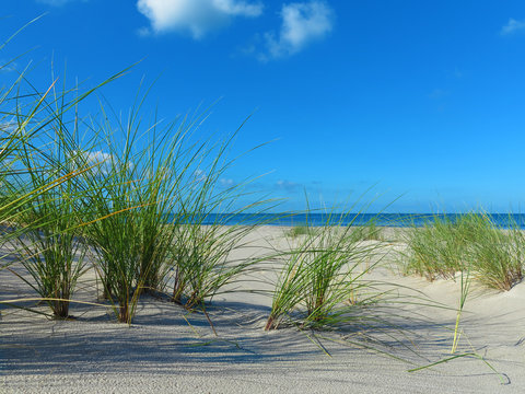 einsamer leerer strand mit Strandhafer und meer © Wilm Ihlenfeld