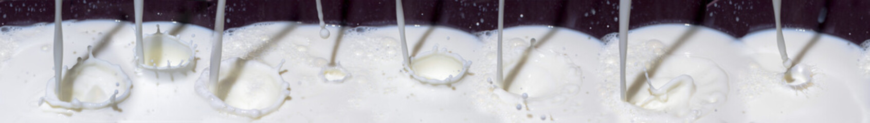 Lots of milk streams and splashes in row.