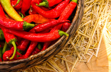 Colorful chili peppers at a country fair