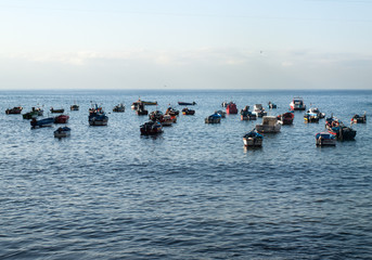 Fishing boats in Camara de Lobos, Madeira Islands, Portugal
