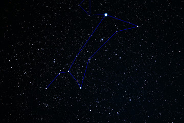 Obraz premium Canis Major constellation. Star cluster messier 41