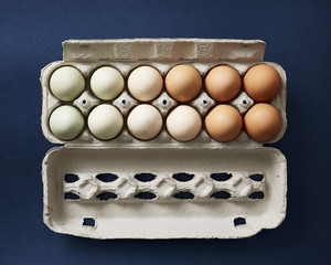Chicken eggs of various natural colors in a carton on a navy background