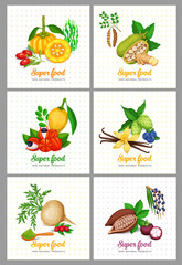 Vector superfood icons set.