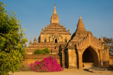 Fototapeta premium Myanmar Bagan Sulamani temple