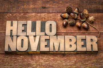 hello November word abstrtact in wood type © MarekPhotoDesign.com