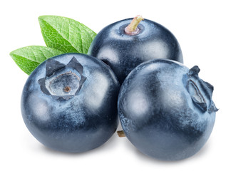 Blueberries and blueberries leaves. Macro shot. File contains clipping path.