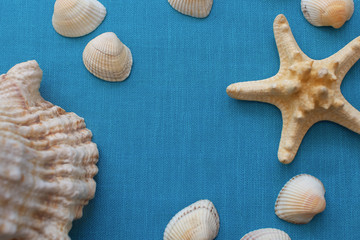 Summer sea background - shells, star on a blue fabric background