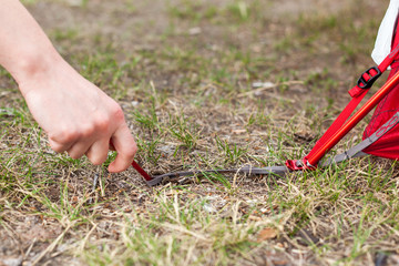  Closeup of girl hands placement of red camping tent, macro shot of peg and grass