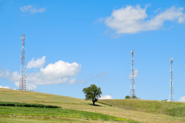 Little green tree between antennas