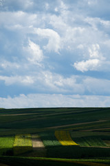 Cultivated field Illuminated by sun light below cloudy sky