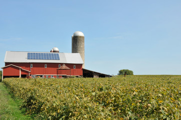 Fototapeta na wymiar Amish Farm