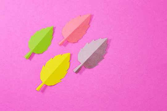 autumn leaves in pink background