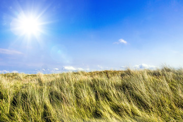 Nordsee, Deutsche K&uuml;ste, Strand auf Langenoog: D&uuml;nen, Meer, Entspannung, Ruhe, Erholung, Ferien, Urlaub, Meditation :)