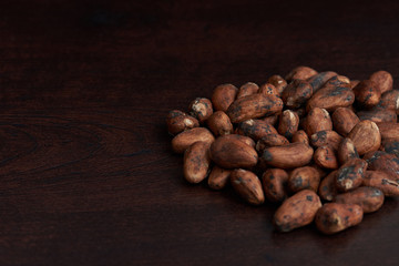 Dry cacao seeds