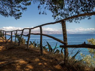 Obraz premium The fence