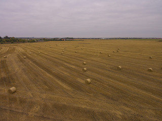 Obraz premium Aerial view of harvest fields