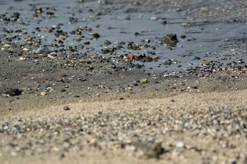 三浦半島 横須賀市漆山湾砂浜