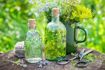 Bottles of tincture or infusion of healing herbs, medicinal herbs in green enameled mug on old stump outside. Herbal medicine.