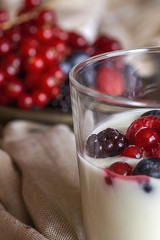Yogurt with berries, cranberries and raspberries