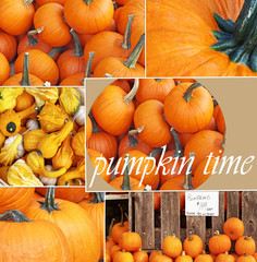 Collage of Pumpkin photos ideal for Thanksgiving