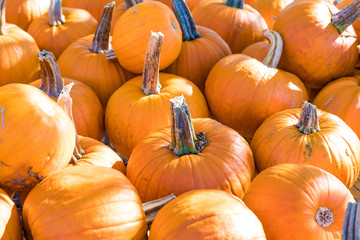 Pumpkins