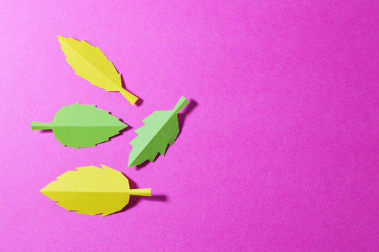 four leaves in pink background