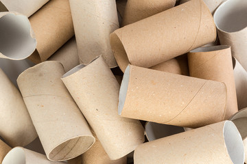 Empty toilet paper on white background