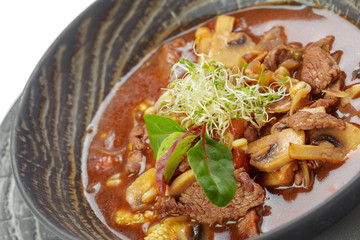 Plate of vegetable soup with meat