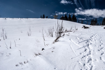 Barania Gora hill in winter Silesian Beskids mountains in Poland