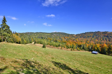 Fototapeta na wymiar Natural autumn landscapes of Gorce mountains, Poland