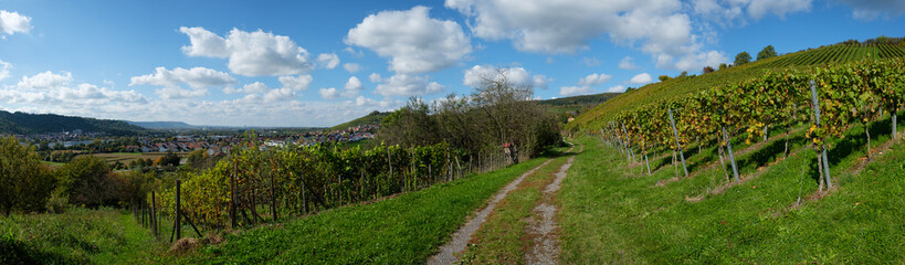 Fototapeta na wymiar Panorama Landschaft Weinberg mit Feldweg