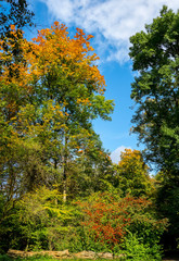 Naklejka premium Herbstlandschaft