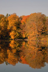 Fototapeta premium lake side fall colors 