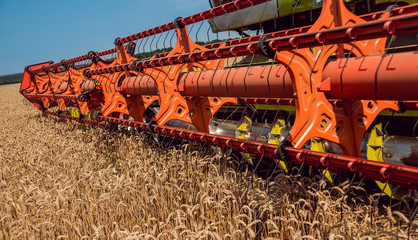 Combine harvester in action on wheat field. Process of gathering a ripe crop.