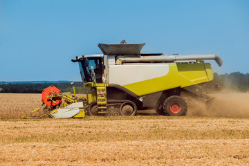 Combine harvester in action on wheat field. Process of gathering a ripe crop.
