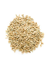 Rye berry grains isolated on a white background