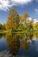 Fototapeta na wymiar Colorful landscape . reflected Trees in the smooth water surface in the sunny and windless day . The fall season.