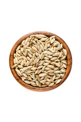 Rye berry grains isolated on a white background