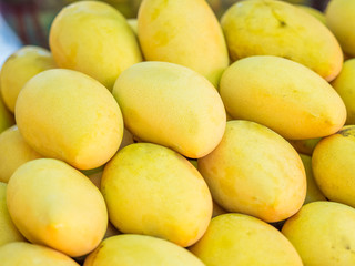 ripe mango stacking for sale on the market