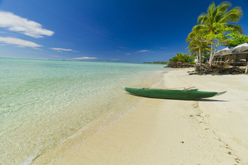 coconut palm trees on white sand beach with crystal clear blue sea