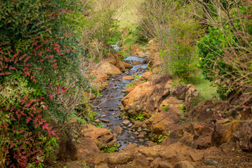 Japan park Maringá - Brazil