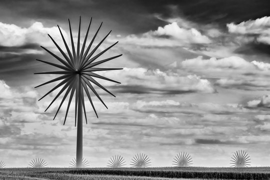Wind Turbine in Iowa