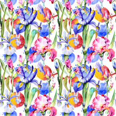 Wildflower iris flower pattern in a watercolor style. Full name of the plant: pink iris. Aquarelle wild flower for background, texture, wrapper pattern, frame or border.
