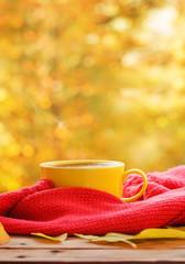 Obraz na płótnie Canvas Cup of hot tea or coffee on nature background. Concept autumn mood.