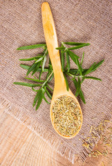 Fresh raw and dry rosemary on rustic background.