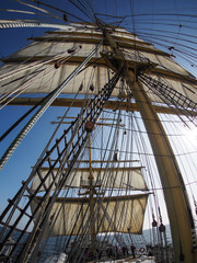 Obraz premium looking up at sails on a traditional sailing vessel