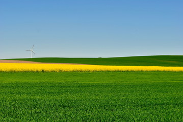 Biopaliwa i energia wiatrowa