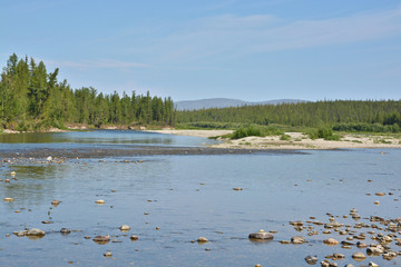 River in the Polar Urals.