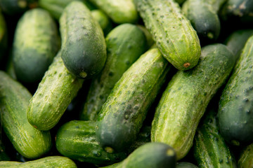 cucumber detail