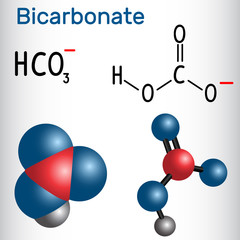 Bicarbonate anion ( HCO3 ) - structural chemical formula and molecule model.